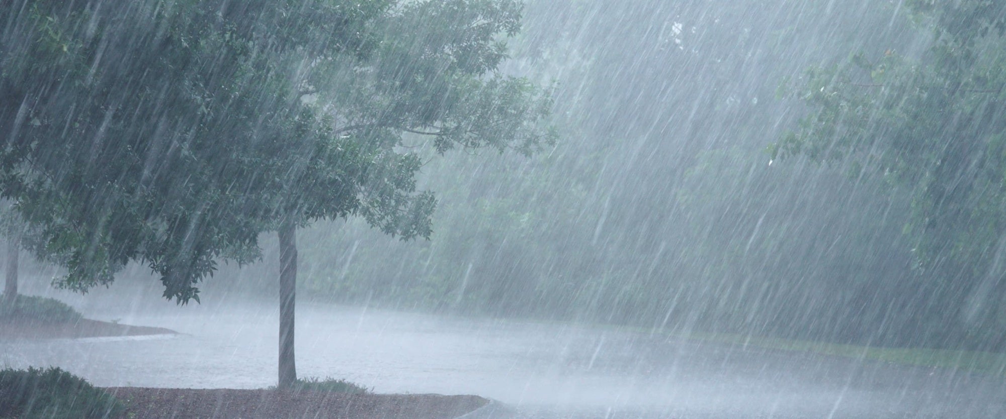 Incredible Compilation Of 4K Rain Images Over 999 Stunning Photos